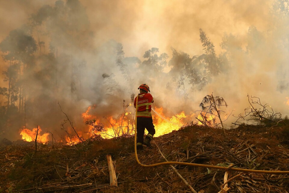 En brannmann i gang med slukking av en brann utenfor byen Sever do Vouga i Portugal onsdag. En brannmann i gang med slukking av en brann utenfor byen Sever do Vouga i Portugal onsdag. Foto: Bruno Fonseca / AP / NTB