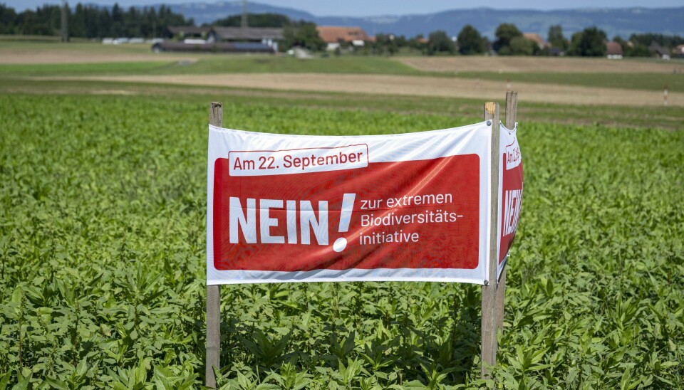 En plakat med oppfordring om å stemme nei til forslaget om mer naturvern, står i en åker i Höchstetten i Sveits. En plakat med oppfordring om å stemme nei til forslaget om mer naturvern, står i en åker i Höchstetten i Sveits. Foto: Peter Schneider / AP / NTB