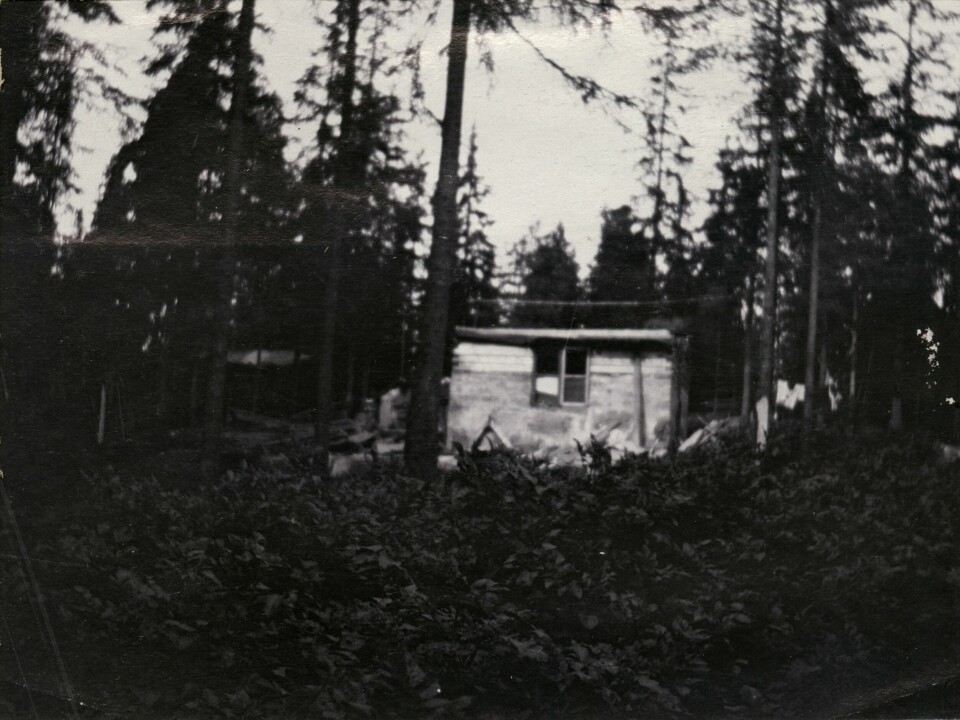 Hus under oppføring i Solemskogen 1907. Hus under oppføring i Solemskogen 1907.