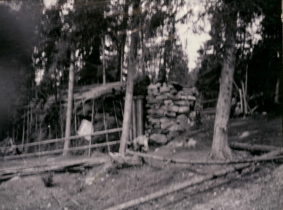 Hytte under utbygginga av Solemskogen 1907. Hytte under utbygginga av Solemskogen 1907.