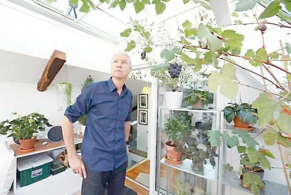 Glassverandaen hos Truels Zeiner-Henriksen og familien fungerer som både hage og stue. FOTO: VIDAR RUUD/NTB SCANPIX
