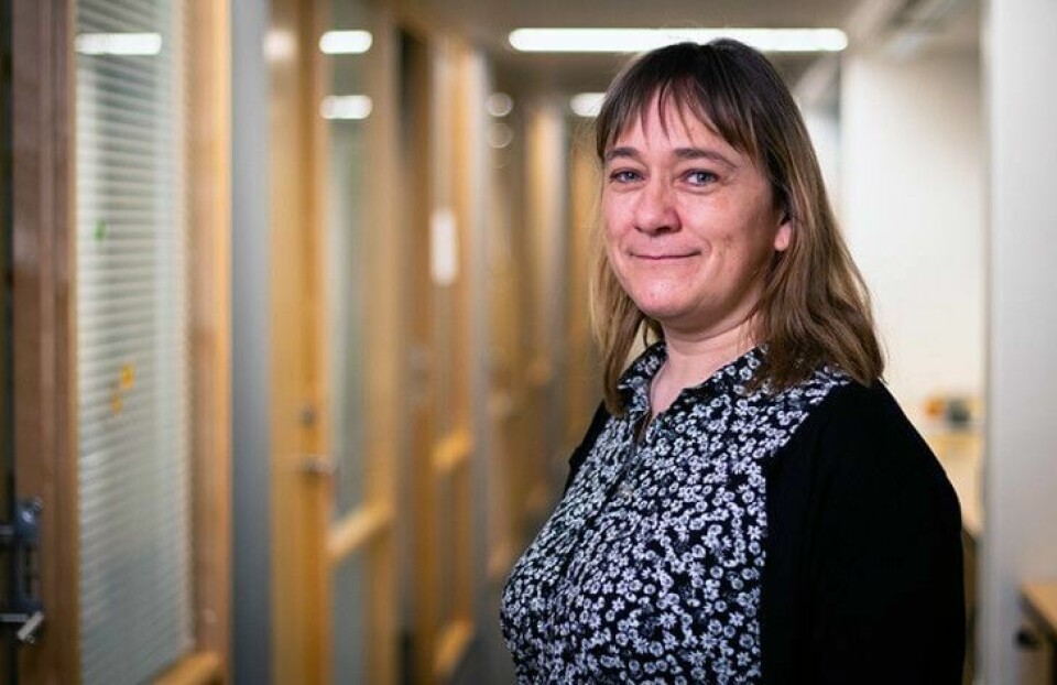 Kommuneoverlege Anne Kristine Nitter i Fredrikstad kommune, minner om at det fortsatt er smitte i samfunnet. Kommuneoverlege Anne Kristine Nitter i Fredrikstad kommune.