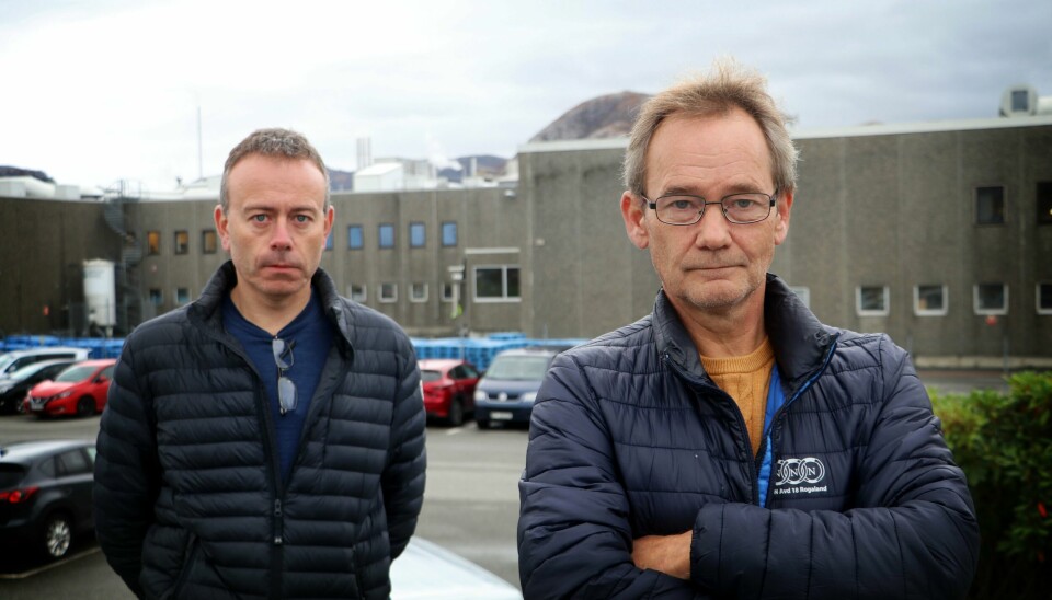 Mandag ble det kjent at 68 ansatte ved Fortuna i Stavanger mister jobben når avdelingen for griseskjæring legges ned til fordel for en mer modernisert fabrikk i Tønsberg. Fabrikksjef i Nortura, Olav Tandberg og klubbleder for Norsk Nærings- og Nytelsesmiddelarbeiderforbund på Forus-anlegget og ansatterepresentant i Nortura-styret, Ken Ove Sletthaug, kan fortelle at de ansatte er skuffet over avgjørelsen. Mandag ble det kjent at 68 ansatte ved Fortuna i Stavanger mister jobben når avdelingen for griseskjæring legges ned til fordel for en mer modernisert fabrikk i Tønsberg. Fabrikksjef i Nortura, Olav Tandberg (t.h.), og klubbleder for Norsk Nærings- og Nytelsesmiddelarbeiderforbund på Forus-anlegget og ansatterepresentant i Nortura-styret, Ken Ove Sletthaug, kan fortelle at de ansatte er skuffet over avgjørelsen.