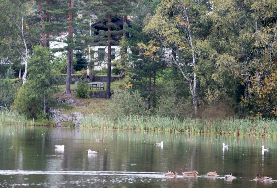 Anne-Elisabeth Hagen forsvant fra boligen der familien bor på Fjellhamar 31. oktober 2018. Politiet konsentrerer seg nå om etterforskningen av krypto-sporet. Anne-Elisabeth Hagen forsvant fra boligen der familien bor på Fjellhamar 31. oktober 2018. Politiet konsentrerer seg nå om etterforskningen av krypto-sporet.Arkivfoto: Terje Pedersen / NTB