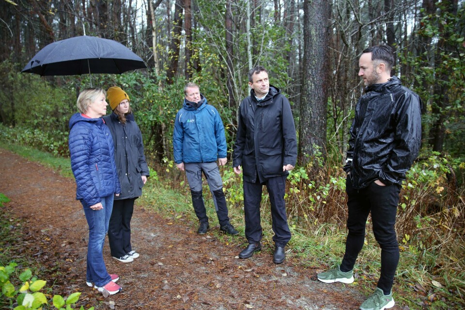Brit Ågot Selvåg, politisk rådgiver Kristin Brenna, Ola Selvåg, MDGs nestleder Arild Hermstad og MDGs Håkon Fossmark i Tingbøskogen, som kan bli hogd for å bygge trafostasjon. Brit Ågot Selvåg, politisk rådgiver Kristin Brenna, Ola Selvåg, MDGs nestleder Arild Hermstad og MDGs Håkon Fossmark i Tingbøskogen, som kan bli hogd for å bygge trafostasjon.