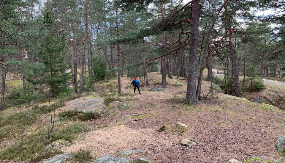 «Det er nødvendig med buffere. Trær og busker, knauser og fjellknatter – som vern mot trafikkstøy og bylarm.» «Det er nødvendig med buffere. Trær og busker, knauser og fjellknatter – som vern mot trafikkstøy og bylarm.»