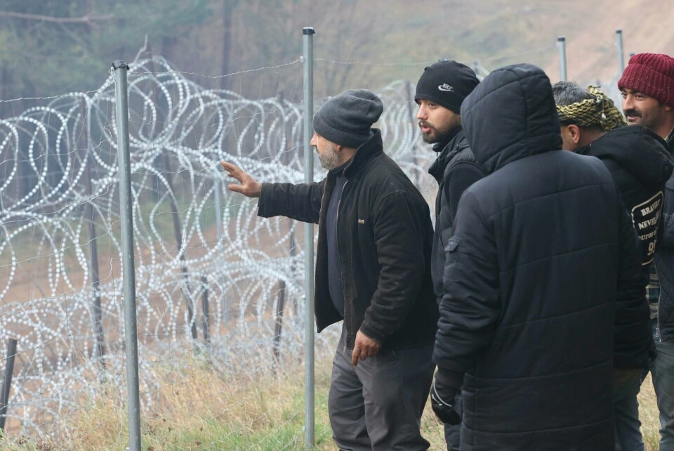 En gruppe migranter fra Midtøsten ser over på den polske siden av grensen fra Hviterussland. Flere tusen personer sitter fast i området. En gruppe migranter fra Midtøsten ser over på den polske siden av grensen fra Hviterussland. Flere tusen personer sitter fast i området. Foto: Leonid Shcheglov / AP / NTB