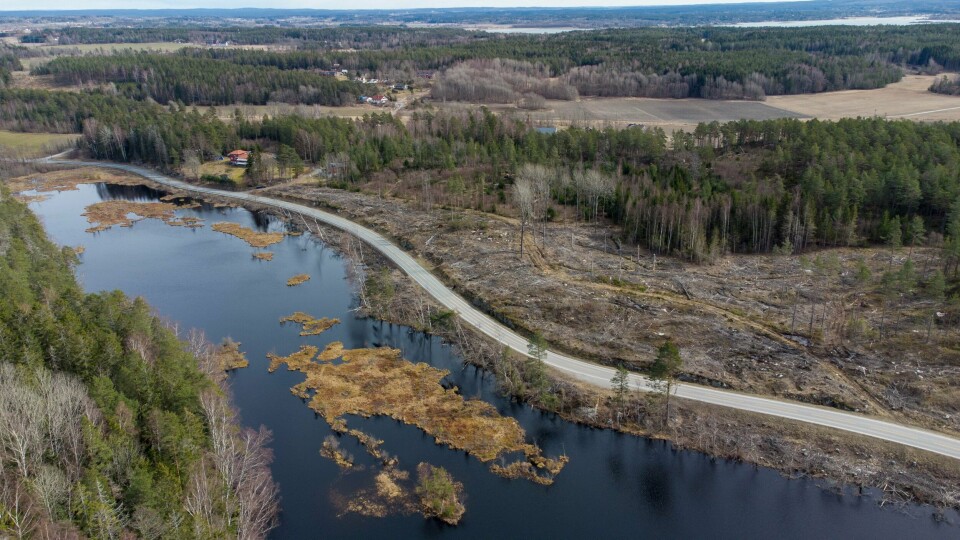 Ifølge politiets beregninger ble det felt 537 trær fra Vardåsen naturreservat, som ligger helt inntil Botnertjernet (nedre halvdel av bildet). Hogsten på motsatt side av veien var ikke ulovlig. Dette bildet er tatt 6. april 2021, altså godt over ett år etter at hogsten fant sted. Under rettssaken ble det opplyst at det vil kunne ta 60 til 80 år før området igjen har de kvaliteter som det hadde før hogsten. Ifølge politiets beregninger ble det felt 537 trær fra Vardåsen naturreservat, som ligger helt inntil Botnertjernet (nedre halvdel av bildet). Hogsten på motsatt side av veien var ikke ulovlig. Dette bildet er tatt 6. april 2021, altså godt over ett år etter at hogsten fant sted. Under rettssaken ble det opplyst at det vil kunne ta 60-80 år før området igjen har de kvaliteter som det hadde før hogsten.