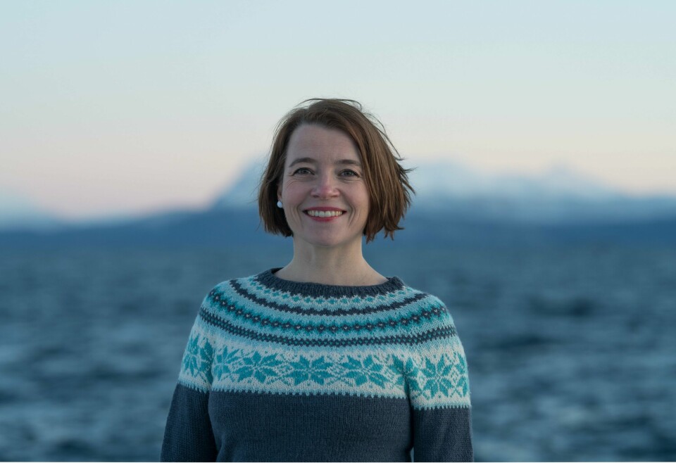 – Politikerne har alt for lenge sett på naturen som en forbruksvare, sier MDGs fungerende partileder, Kriss Rokkan Iversen. – Politikerne alt for lenge har sett på naturen som en forbruksvare, sier MDGs fungerende partileder, Kriss Rokkan Iversen.