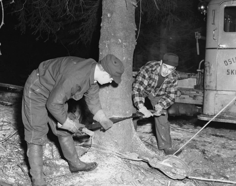 Hvert år blir en stor julegran sendt fra Oslo til Trafalgar Square i London. Hvert år blir en stor julegran sendt fra Oslo til Trafalgar Square i London.