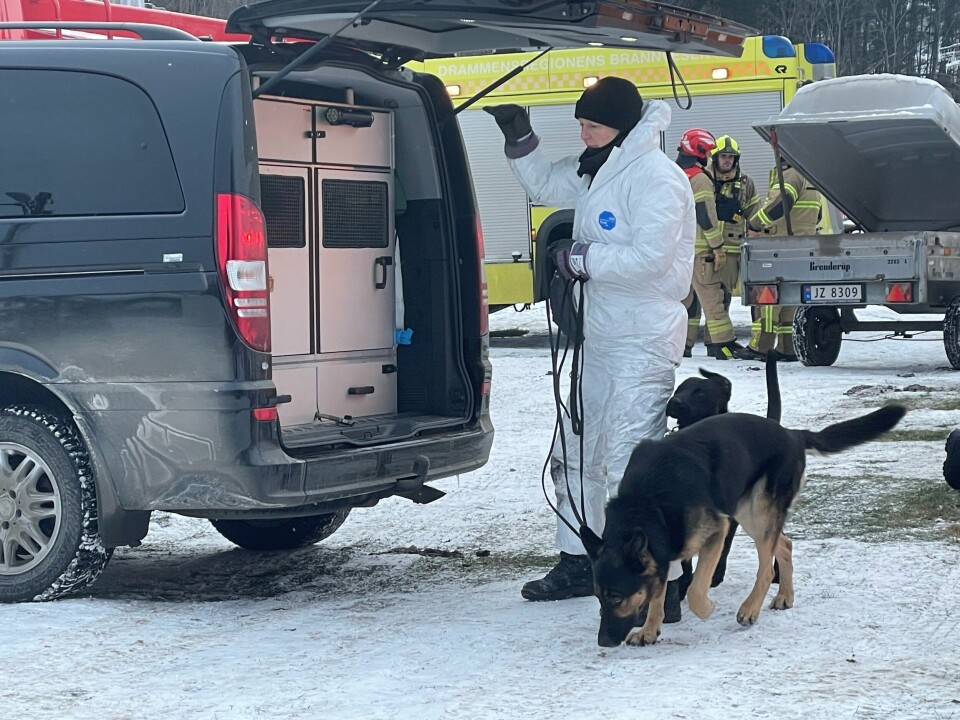 Teknikere fra Kripos var tirsdag i Svelvik for å søke etter omkomne. Hunder bisto i søket. Teknikere fra Kripos var tirsdag i Svelvik for å søke etter omkomne. Hunder bisto i søket.