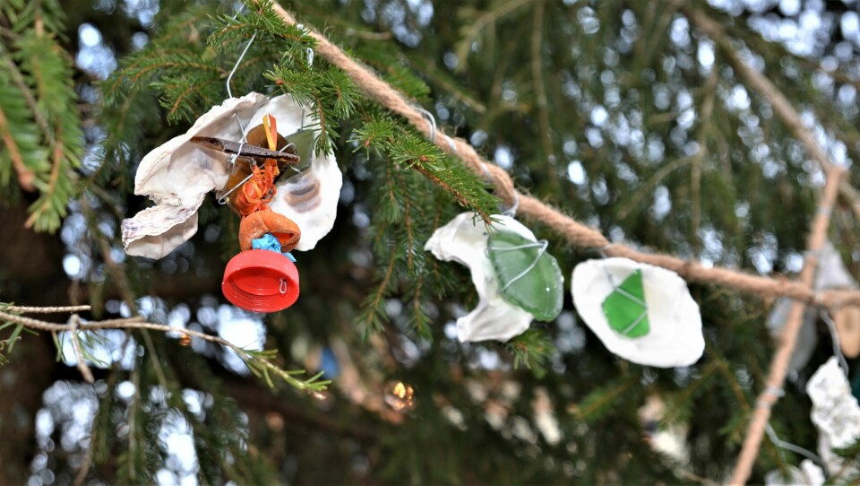 Stillehavsøsters med glassperler og plast fra havet har blitt hengt på Gamlebyens juletre. Stillehavsøsters med glassperler og plast fra havet har blitt hengt på Gamlebyens juletre.