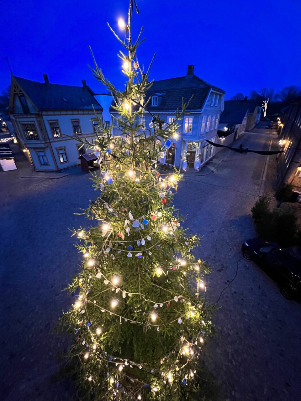 Visit Fredrikstad og Hvaler, Miljøstiftelsen Elv og Hav og Guerrilla Plastic Movement står bak den utskjelte pynten. Visit Fredrikstad og Hvaler, Miljøstiftelsen Elv og Hav og Guerrilla Plastic Movement står bak den utskjelte pynten.