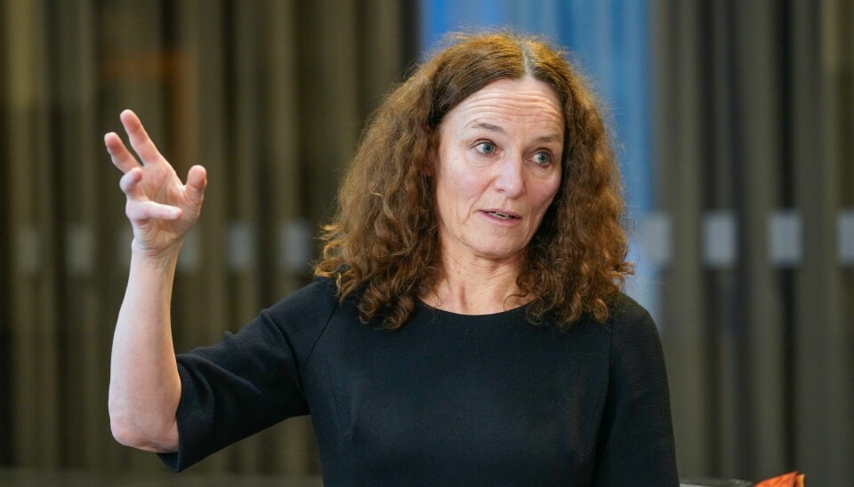 Camilla Stoltenberg, direktør i FHI. Camilla Stoltenberg, direktør i FHI.