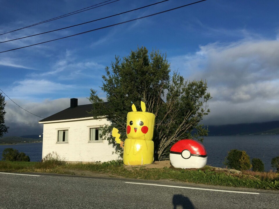 Pokémonturismen blomstrer i hele verden. På Senja finner du en lokal utgave av Pikachu – i den virkelige verden!