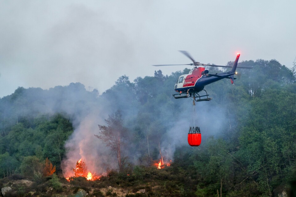 Fra tirsdag er det to skogbrannhelikoptre som er i beredskap i Norge. Ett på Torp og ett i Tromsø. Skogbrannhelikopter og brannmannskaper fra fire ulike stasjoner jobber med å slukke en gressbrann på Sotra. Brannen startet i forbindelse med sprengningsarbeid. Foto: Silje Katrine Robinson / NTB