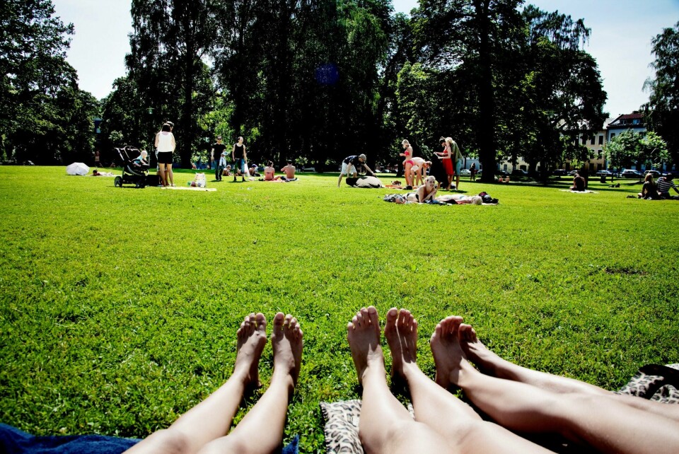 SVs VISJON: Oslo skal bli verdens grønneste hovedstad.FOTO: ANNIKEN C. MOHR