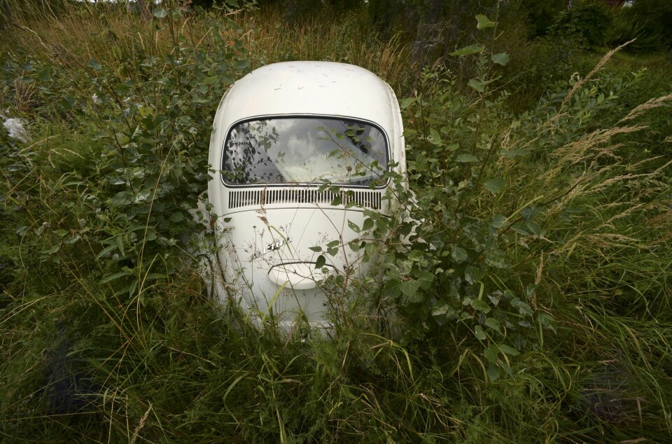 Flere tar til orde for å doble vrakpanten for å få flere til å vrake utrangerte biler. Enkelte velger å parkere bilen for godt i naturen. Flere tar til orde for å doble vrakpanten for å få flere til å vrake utrangerte biler. Enkelte velger å parkere bilen for godt i naturen. Foto: Vidar Ruud / NTB