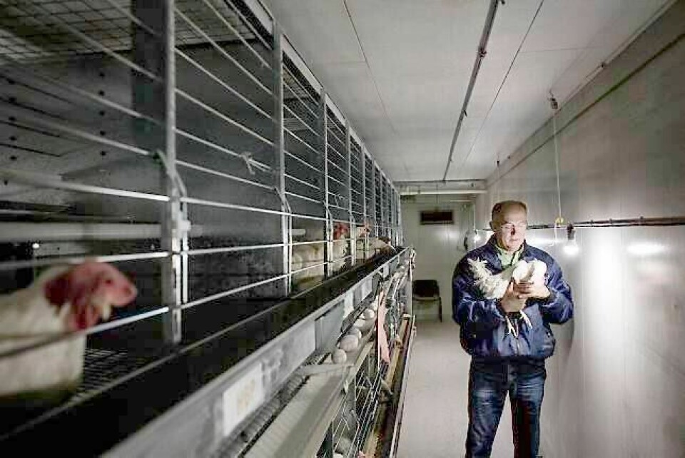 Ole Egge har 3000 høner som legger egg fulle av antistoffer. Antistoffene brukes til medisinske tester. Egge er også en av landets største leverandører av egg til norske forbrukere.