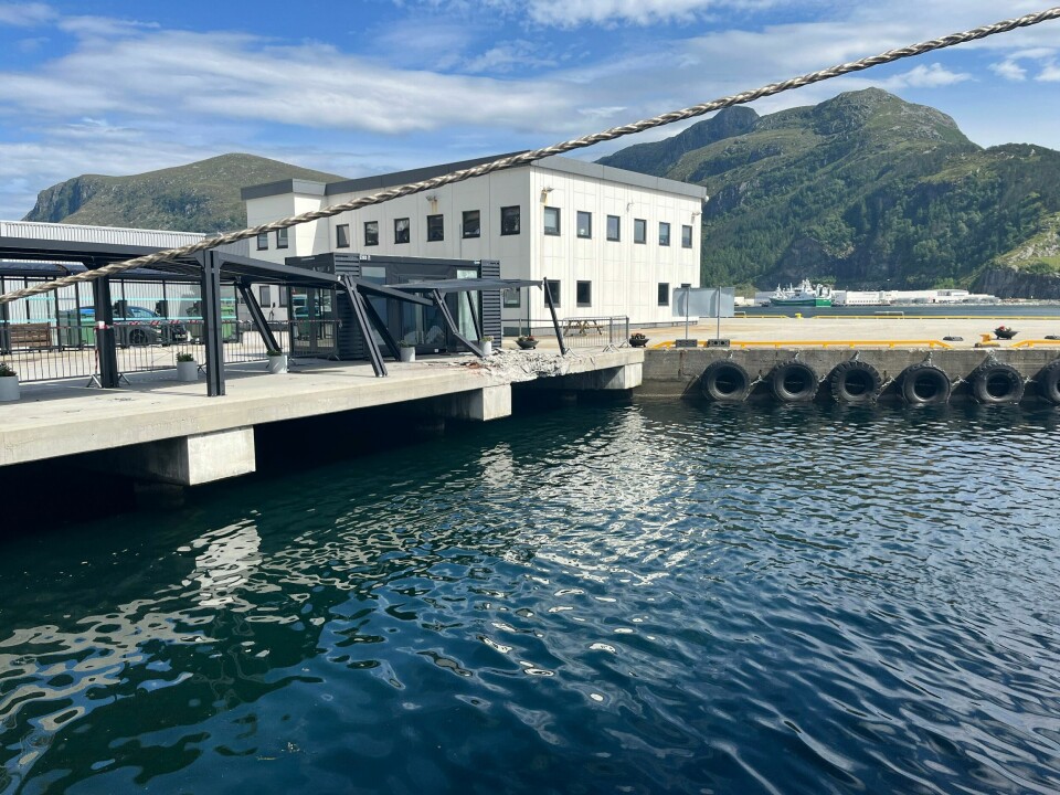 Det 95 meter lange lasteskipet Silver Pearl smalt lørdag ettermiddag inn i en kai i Måløy. Ingen andre enn skipet og kaien ble skadet. Det 95 meter lange lasteskipet Silver Pearl smalt lørdag ettermiddag inn i en kai i Måløy. Ingen andre enn skipet og kaien ble skadet. Foto: Politiet / NTB