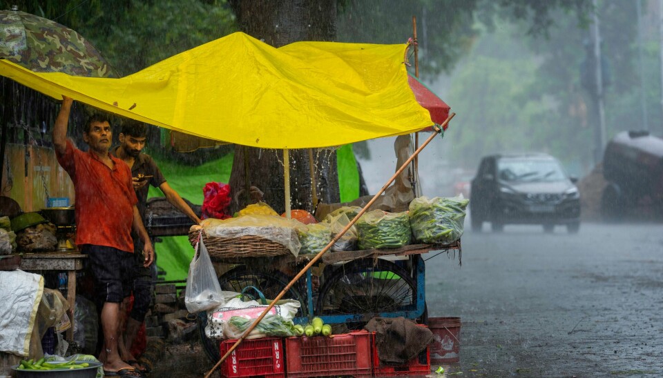 Flere delstater nord i India har vært rammet av kraftig styrtregn den siste uken. Flere delstater nord i India har vært rammet av kraftig styrtregn den siste uken. Foto: Rajesh Kumar Singh / AP / NTB