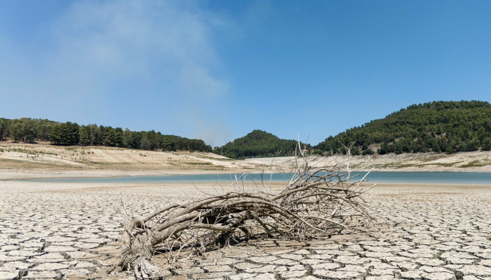 Innsjøen Fanaco er vannkilde for store deler av Sør-Sicilia, blant annet byen Agrigento. Innsjøen Fanaco er vannkilde for store deler av Sør-Sicilia, blant annet byen Agrigento. Foto: Andrew Medichini / AP / NTB