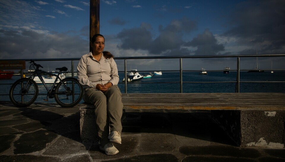 – Vi har litt av alt her, det er derfor mange mener Galápagosøyene er så mangfoldig. Men samtidig så vi har bare et lite antall av hver av dem, sier naturforsker Natasha Cabezas. – Vi har litt av alt her, det er derfor mange mener Galápagosøyene er så mangfoldig. Men samtidig så vi har bare et lite antall av hver av dem, sier naturforsker Natasha Cabezas. Foto: Alie Skowronski / AP / NTB