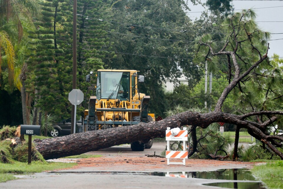 Debby røsket løs trær flere steder i Florida mandag, som her i Oldsmar. Debby røsket løs trær flere steder i Florida mandag, som her i Oldsmar. Foto: Jefferee Woo / Tampa Bay Times / AP / NTB