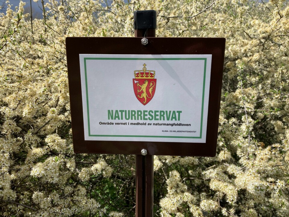 Både i naturreservater og andre verneområder brytes verneforskriftene jevnlig, konstaterer Statens naturoppsyn. Nå risikerer de som er ansvarlige for dette, gebyrer som svir. Både i naturreservater og andre verneområder brytes verneforskriftene jevnlig, konstaterer Statens naturoppsyn. Nå risikerer de som er ansvarlige for dette, gebyrer som svir.