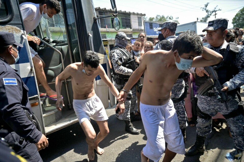 El Salvadors president reagerte raskt og brutalt da 80 personer ble drept på en helg. Det ble erklært unntakstilstand og 5.000 mennesker, angivelige gjengmedlemmer, ble arrestert og sendt i høyrisikofengsler. Her fra 31. mars i år. El Salvadors president reagerte raskt og brutalt da 80 personer ble drept på en helg. Det ble erklært unntakstilstand og 5.000 mennesker, angivelige gjengmedlemmer, ble arrestert og sendt i høyrisikofengsler. Her fra 31. mars 2022.