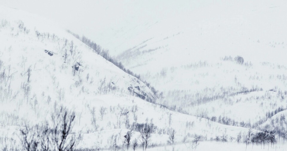 Illustrasjonsfoto Skredfare