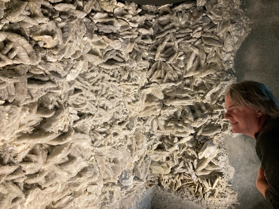 Den nye krystallgrotta til Naturhistorisk museum, er hentet opp fra Norcems gruve under Brevik og Eidangerfjorden, forteller professor Jørn Hurum. Den nye krystallgrotta til Naturhistorisk museum, er hentet opp fra Norcems gruve under Brevik og Eidangerfjorden, forteller professor Jørn Hurum.