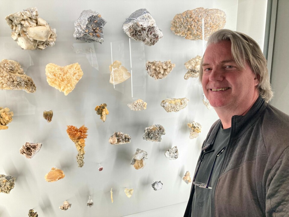 Professor Jørn Hurum tror at mineralentusiaster og -samlere, også fra utlandet, vil komme til Tøyen når det blir kjent hvilken unik samling av krystallformer av mineralet kalsitt, som befinner seg der. Professor Jørn Hurum tror at mineralentusiaster og -samlere, også fra utlandet, vil komme til Tøyen når det blir kjent hvilken unik samling av krystallformer av mineralet kalsitt, som befinner seg der.