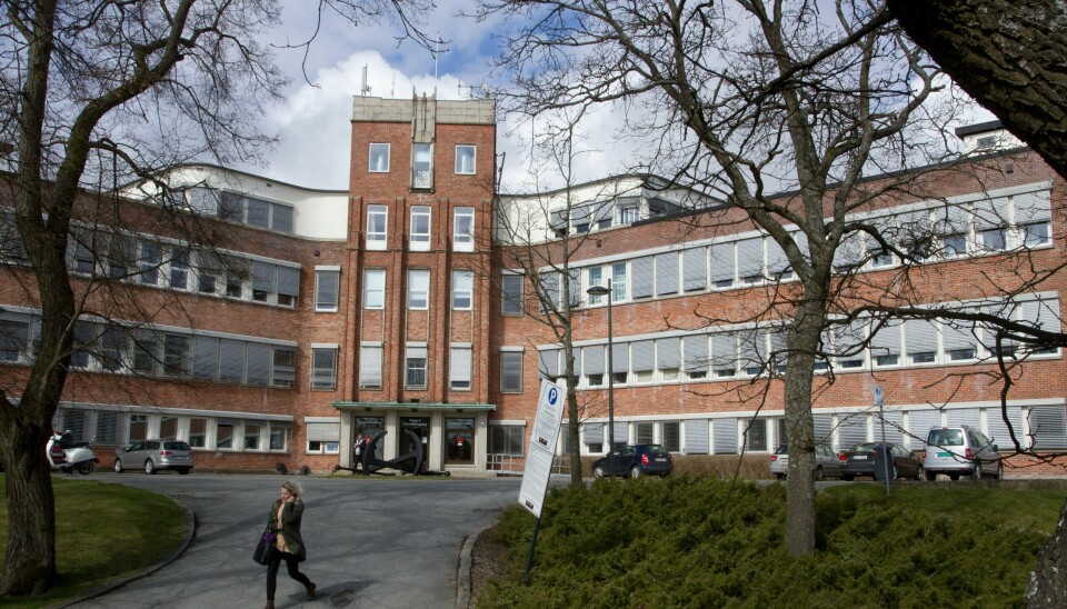 «Vi har tett og hyppig dialog med høgskolen, og har vært svært tydelige på at vi ønsker at styret konkluderer med at studentene og all den kompetansen som institusjonen besitter får bli her!» skriver ordfører Siri Martinsen (Ap).