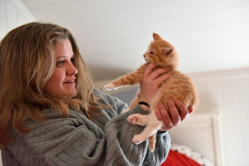 På tunge dager er kattene gode å ha, forteller Pernille Kramås. På tunge dager er kattene gode å ha, forteller Pernille Kramås.Foto: Ida Bing/FriFagbevegelse