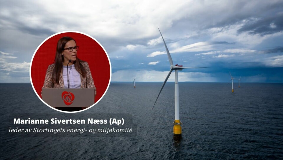 «Målet med utbyggingen er at vi skal sikre folk og bedrifter rikelig med rimelig kraft i årene som kommer.» «Målet med utbyggingen er at vi skal sikre folk og bedrifter rikelig med rimelig kraft i årene som kommer.»