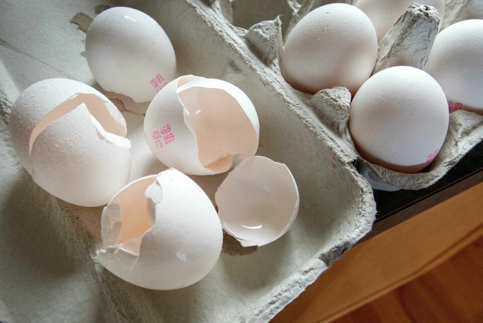 Folk må være forberedt på hel- og halvtomme egghyller de neste ukene, kanskje helt fram til påske. En ukes kortere holdbarhet for egg – fra 35 til 28 dager – kan bety kroken på døren for eggprodusentene i distriktene. Foto: Gorm Kallestad / NTB