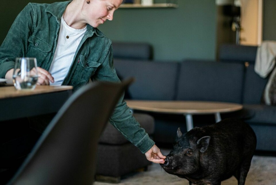 Kanskje får Bodil også bli med i bryllup? Lene og Ulrikke. Kanskje får Bodil også bli med i bryllup?Foto: Hanna Skotheim/Fontene