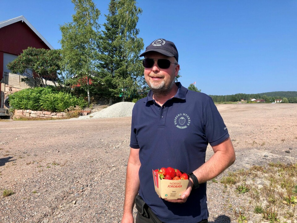 Bjørn Ekeberg i Skoger i Drammen er sammen med kollega Simen A. Myhrene i Lier snart klare med årets første jordbær fra Ekeberg Myhrene. I år starter jordbærsesongen rekordtidlig. Jordbærproduksjon