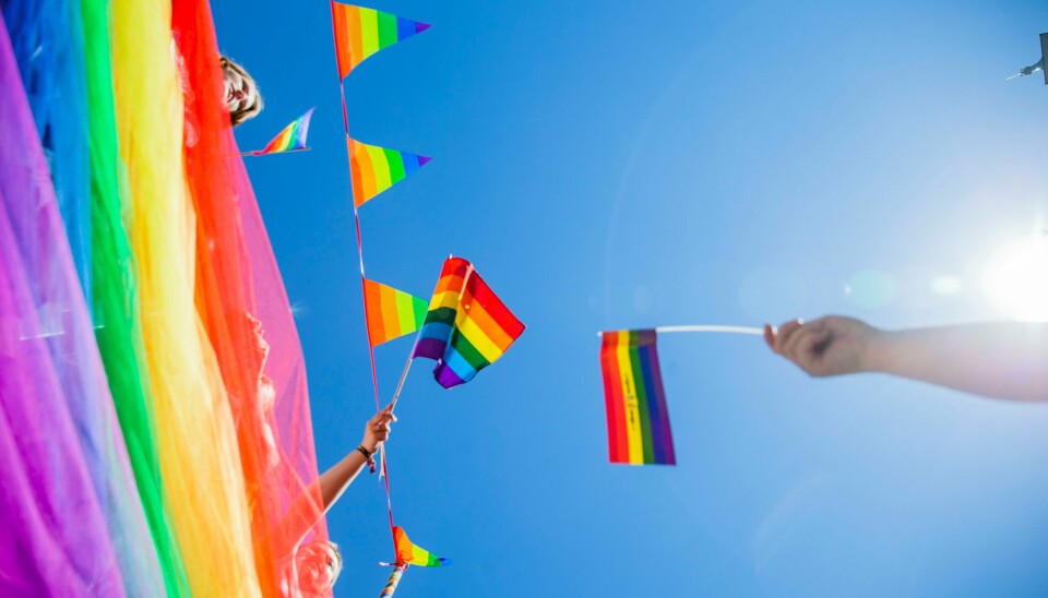 Regnbeflagget under Oslo Pride Parade. Foto: Stian Lysberg Solum / NTB