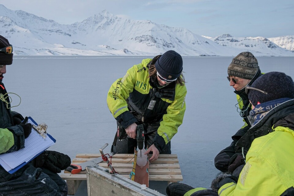 «Iskjerneprøvetaking i St. Johnsfjorden for å måle temperatur og saltinnhold i sjøisen.» «Iskjerneprøvetaking i St. Johnsfjorden for å måle temperatur og saltinnhold i sjøisen.»