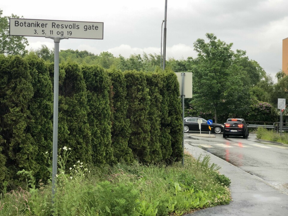 Botaniker Resvolls gate på Stokka har navnet sitt etter Thekla Resvoll, som var en pioner i sitt fag. Botaniker Resvolls gate på Stokka har navnet sitt etter Thekla Resvoll, som var en pioner i sitt fag.