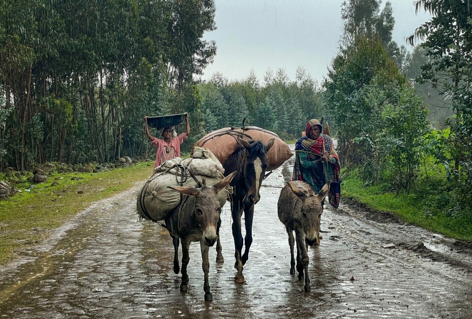 Beboere i en landsby i Amhara-regionen nord i Etopia. Illustrasjonsfoto. To innbyggere forlater hjemmet sitt i en landsby nord i Etiopia. Foto: AP / NTB