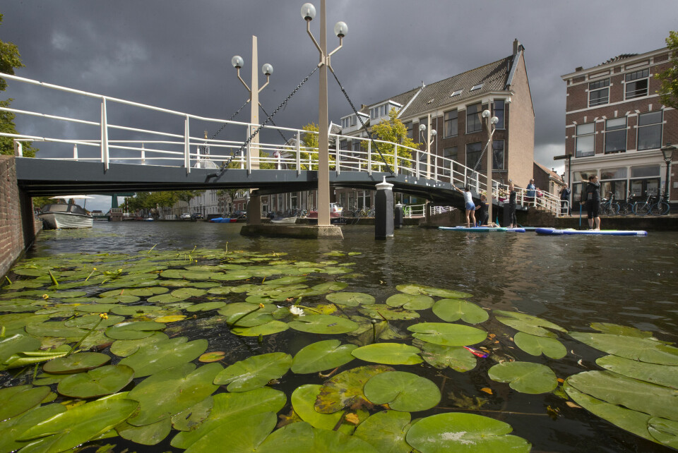 Leiden er blant de nederlandske byene som har vedtatt forbud mot fossilreklame. Leiden er blant de nederlandske byene for har vedtatt forbud mot fossilreklame.