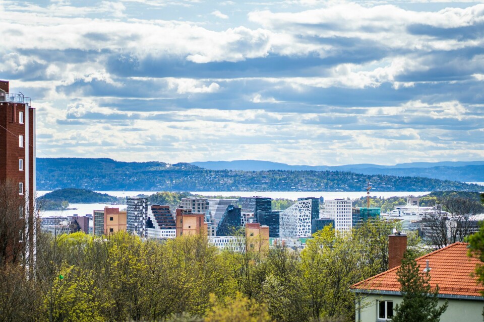 Barcode og høyblokkene på Enerhaugen sett fra Keyserløkka i Oslo.