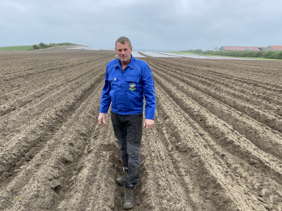Både teknologi og livsstilsendring må til hvis landbruket produsere med mindre sprøyting og kunstgjødsel, mener gulrotbonde Laurits Stokkeland. Han investerer gjerne i lukerobot «hvis den virker». – Men folk må også akseptere å betale mer for maten, sier han. Både teknologi og livsstilsendring må til hvis landbruket produsere med mindre sprøyting og kunstgjødsel, mener gulrotbonde Laurits Stokkeland. Han investerer gjerne i lukerobot «hvis den virker». – Men folk må også akseptere å betale mer for maten, sier han.
