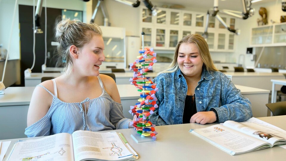 Silje Marie Eltervåg og Kine Vedøy tar opp eksamen i naturfag på Sommerskolen i år. Silje Marie Eltervåg og Kine Vedøy tar opp eksamen i naturfag på Sommerskolen i år.
