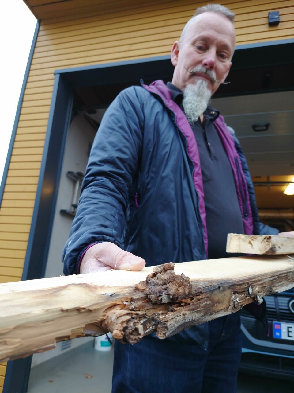 Holmslet har tatt vare på denne trebiten der en sopp var i full blomst da husveggen ble åpnet opp. Ingolf Fra Holmslet, 14 år gammelt hus fullt i vann, råte og sopp