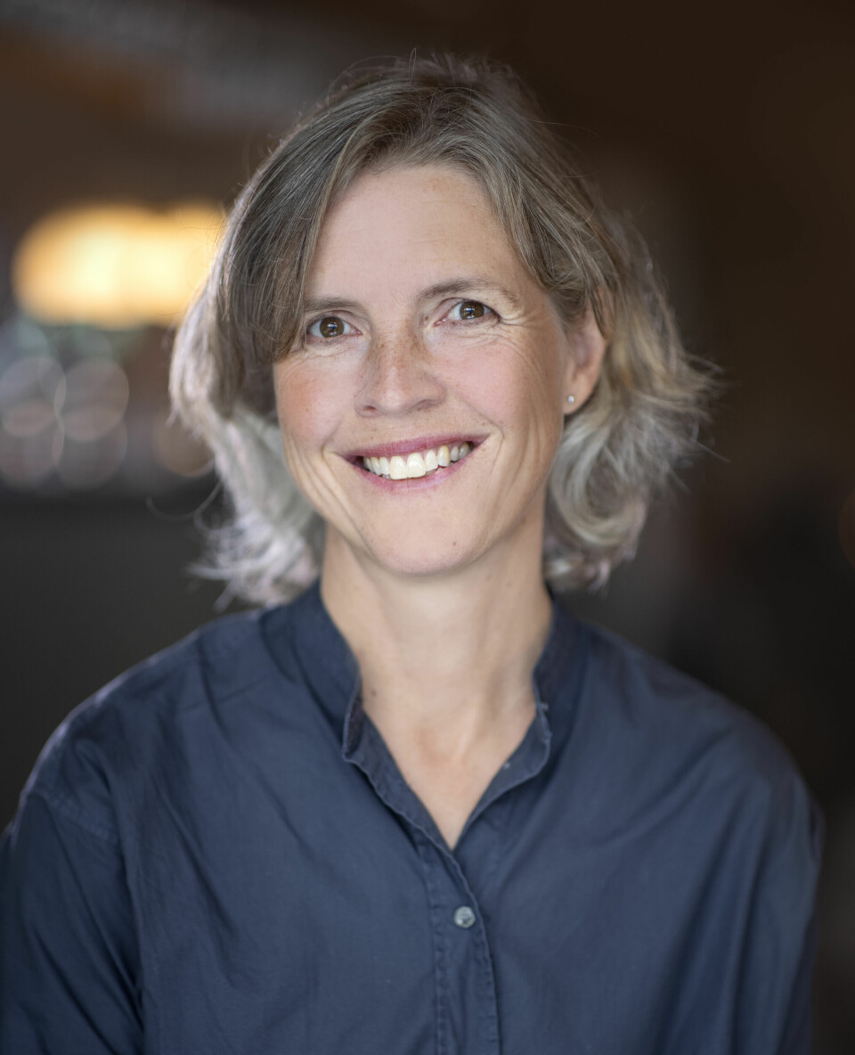 Kjersti Lundetræ, professor. Foto: Elisabeth Tønnessen Kjersti Lundetræ, professor.