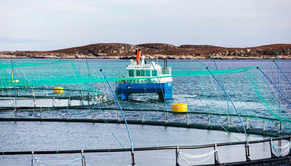 Regjeringen står imot presset og kommer til å innføre grunnrenteskatt på lakseoppdrett. Det er riktig og nødvendig, mener Dagsavisen. Regjeringen står imot presset og kommer til å innføre grunnrenteskatt på lakseoppdrett. Det er riktig og nødvendig, mener Dagsavisen.